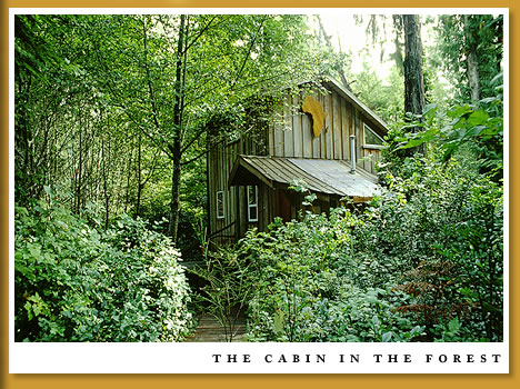 The African Beach Cabin in Tofino - and outside photo of the cottage in Tofino